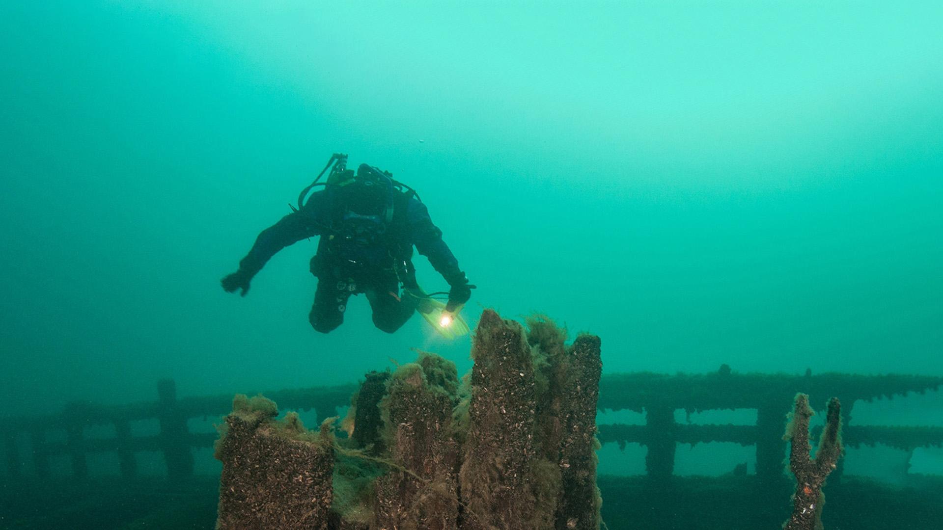 Scuba Steve